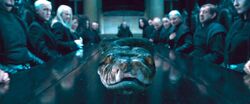 Nagini Malfoy Manor Esstisch.jpg