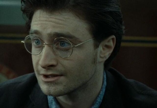 Bestand:Volwassen Harry.jpg