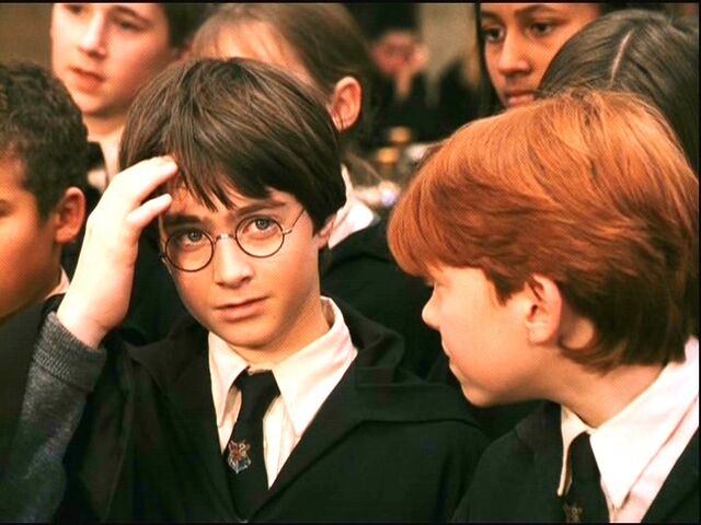 File:HarryRon.jpg