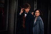 FBaWtFT Newt & Tina.jpg