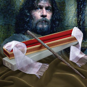 Siriusblack wand (1).jpg