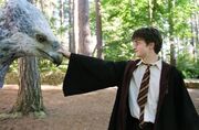 Harryandbuckbeak.jpg