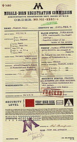 File:MollyWeasleyMinistryFile.png