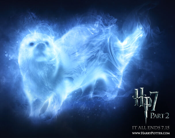 File:My patronus otter.jpg