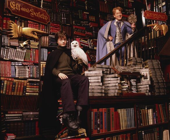 File:HarryandLockhartatFlourishandBlotts.jpg
