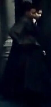 Possible Sinistra (Deathly Hallows)