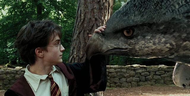 File:Harry Potter Buckbeak.jpg