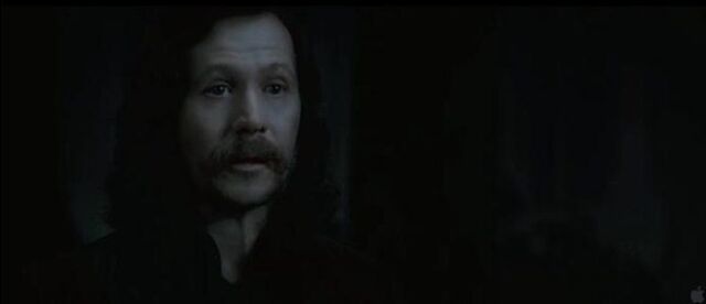 File:Serius Black Deathly Hallows.jpg