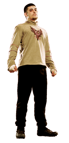 File:Viktor Krum GOF.gif