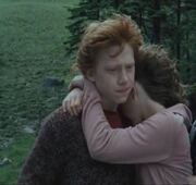 Hermione-and-Ron.jpg