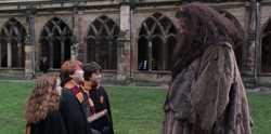 38095156 24allthreeandhagrid.png