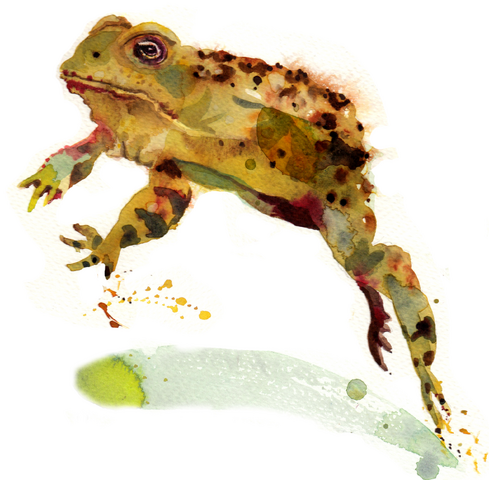 File:Trevor PM.png