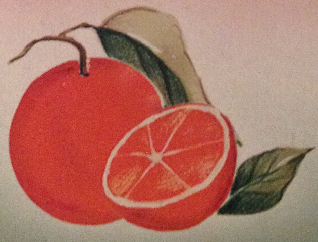 File:Orange.png