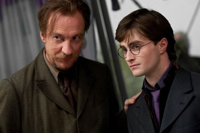 Dosya:Lupin-and-Harry-at-Bill-and-Fleur-s-wedding-harry-potter-29321054-960-640.jpg