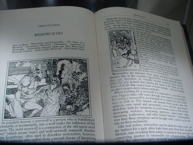 File:Werewolvesbookchapter.jpg