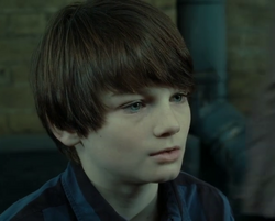 Albus Severus Potter Harry Potter Wiki Fandom