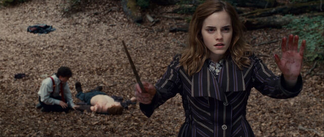 File:Hermione with bloody hands (and a splinched Ron lying on ground).jpg
