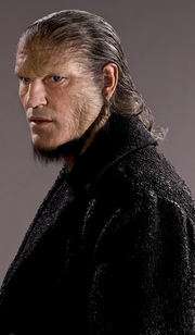 Fenrirgreyback.png