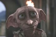 Dobby at Hogwarts