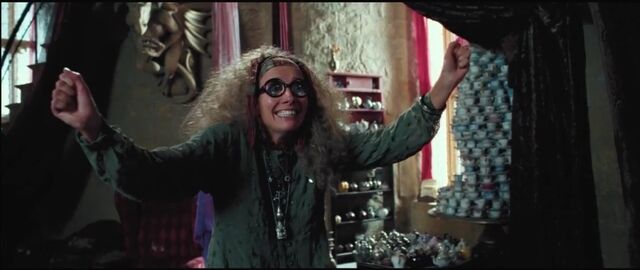 File:Prof Trelawney.jpg