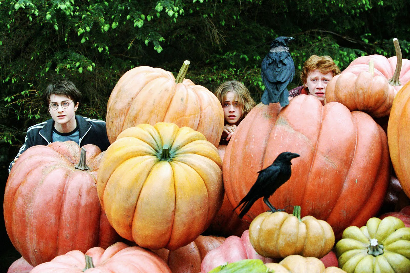 Image result for harry potter and the prisoner of azkaban pumpkins