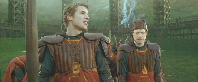 File:Halfblood-01344.jpg