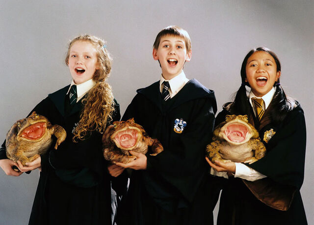 File:Harry-potter-prisionero-azkaban-promo-29.jpg