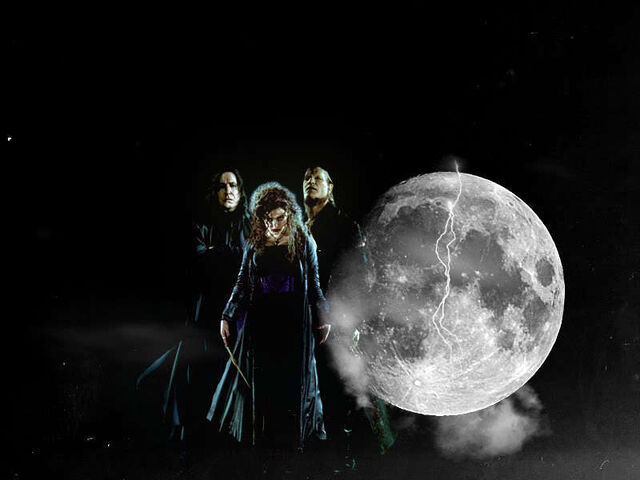 Dosya:Bellatrix-Lestrange-bellatrix-lestrange-8147350-800-600.jpg