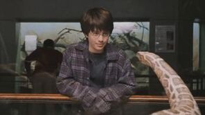 Harry i wąż.jpg