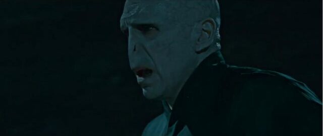 File:HPDH 2 Voldemort4.jpg