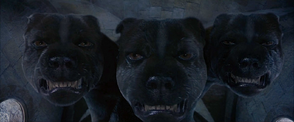 Puszek x3.png