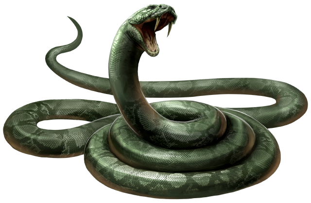 File:Nagini PM.png