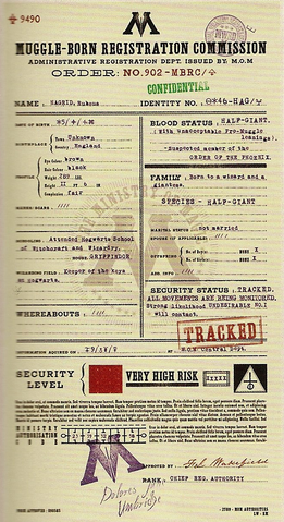 File:RubeusHagridMinistryFile.png
