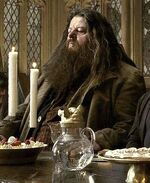 Rubiest Hagrid.jpg