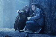 Siriusandharrybattle.jpg