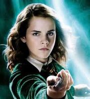 Mr Hermiona.jpg