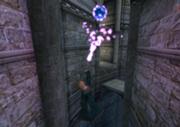 Carpe2.jpg