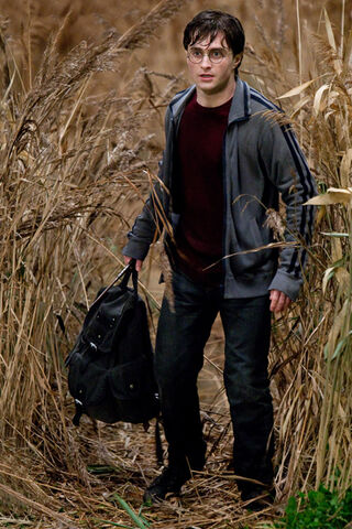 File:Harryandrucksack.jpg