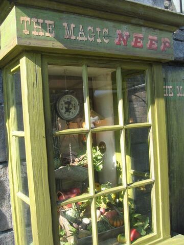 File:The Magic Neep.jpg