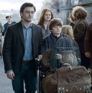 HP7B Epilogo21.jpg