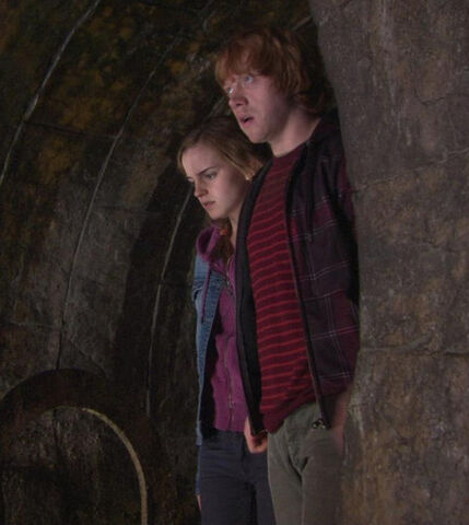 File:Ronyhermione.jpg
