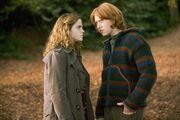 5-stills-mq-scarpotter-05 large.jpg