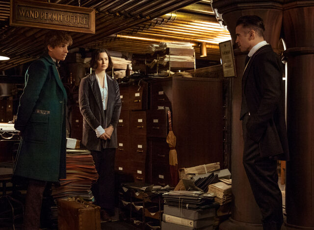 File:Fantastic-beasts-wand-permit-office.jpg