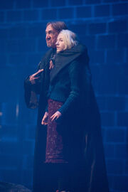 Luna-Lovegood-and-Walden-Macnair-ravenclaw-28220373-285-428.jpg