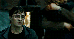 Tumblr mqmg5k5aLP1rrszjzo4 250.gif