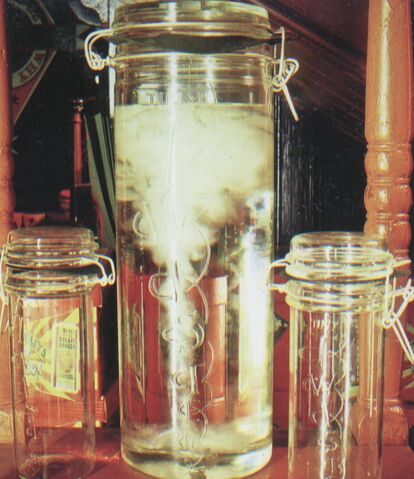 File:TinyTwister2.jpg