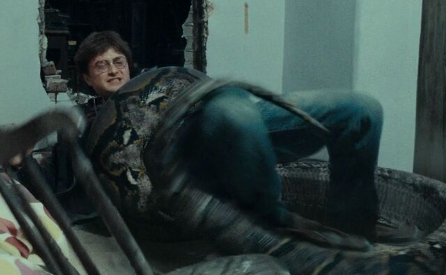 File:Harry battles Nagini.jpg