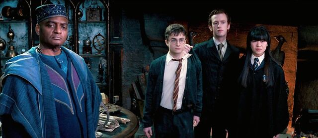 File:Order-of-the-phoenix-harry caught.jpg