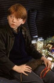 Ron juna.jpg