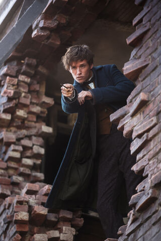File:Fantastic Beasts Newt 02.jpg